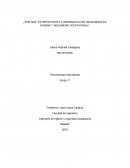 ¿Por qué es importante la informatica en hingenieria en higiene y seguridad ocupacional?