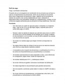 Perfil de cargo Cargo: coordinador activaciones