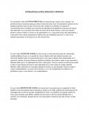 ESTRATEGIAS ANTES, DURANTE Y DESPUES