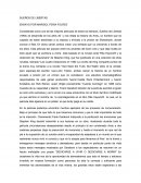 SUEÑOS DE LIBERTAD ENSAYO POR MARISOL FERIA FOLRES