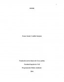 Home. ¿POR QUÉ ES IMPORTANTE LA INFORMATICA EN HINGENIERIA EN HIGIENE Y SEGURIDAD OCUPACIONAL?