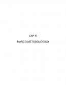 CAP III MARCO METODOLÓGICO