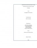 Es la capacidad que tiene la comunidad como colectivo para transformar la realidad a través de la deliberación
