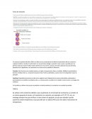 Foros semana 2 plc en la industria