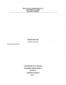 PRACTICA DE LABORATORIO No. 8 ANATOMIA DE LA HOJA BOTANICA GENERAL