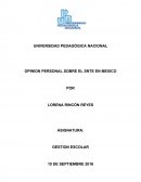 OPINION PERSONAL SOBRE EL SNTE EN MEXICO