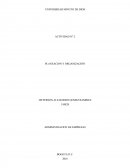 Actividad Planeacion y organización