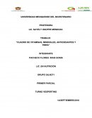 Cuadro de vitaminas, minerales, antioxidantes y fibra