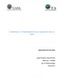 Evidencia 2: Presentación de la resolución de un caso Apreciación de las artes