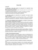 ¿Que planes a largo plazo resultan de la planeación de la capacidad a largo plazo?¿Quien prepara estos planes?