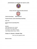 Pp estadistica en el enfoque social