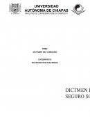 Dictamen del servicio social