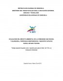 EVALUACION DEL IMPACTO AMBIENTAL DE LA COMUNIDAD SAN RAFAEL Y BLANQUIZAL, PARROQUIA INDEPENDENCIA, MUNICIPIO CAPACHO NUEVO, ESTADO TÁCHIRA