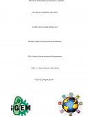 Distintos Tipos de Información de Mercadotecnia.