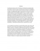 E learning-empresa amway