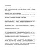 La infección del tracto urinaria es la patología infecciosa más frecuente. En Bolivia no existen datos confiables, pero en E.E.U.U. es causa de 7 millones de consultas médicas por año.
