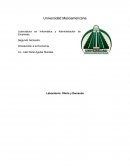 Laboratorio: Oferta y Demanda.