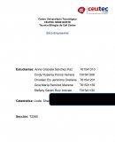 Técnico Bilingüe de Call Center Ética Empresarial