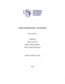 DISEÑO ORGANIZACIONAL Y DE PROCESOS