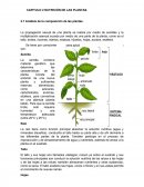CAPITULO 2 NUTRICIÓN DE LAS PLANTAS.