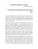 LA PERCEPCIÓN HUMANA DE LA IMAGEN.