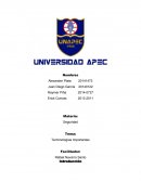 Terminologías Importantes