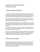 PLANIFICACIÓN Y PREPARACIÓN DE AUDITORÍAS.