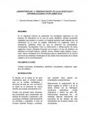 LABORATORIO NO. 5: OBSERVACION DE CELULAS VEGETALES Y DIFERENCIACIONES CITOPLASMATICOS