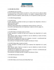 MANUAL DE CUENTAS EMPRESA UNIPERSONAL. Página 1