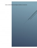 Ensayo sobre la insostenibilidad