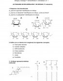 ACTIVIDADES DE RECUPERACIÓN Y DE REPASO DE BIOLOGIA.