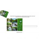 CONSECUENCIA DEL DETERIORO EN LA CUENCA MEDIA DEL RIO CESAR A CAUSA DEL VERTIDO DE AGUAS RESIDUALES EN EL MISMO