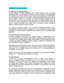 Naturaleza y usos del producto. El cerdo (Sus scrofa domestica)