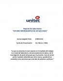 Lab Virtual Fisica 2 Gas ideales