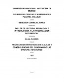 PROYECTO DE INVESTIGACION: CAUSAS Y CONSECUENCIAS DEL CONSUMO DE LAS DROGAS; ADICCIONES