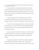 ¿Por qué es importante realizar investigaciones de los antecedentes antes de emplear a alguien?