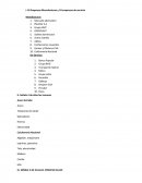 10 empresas manufacturas y 10 empresas de servicio