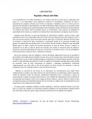 CASO PRÁCTICO Papalote, Museo del Niño