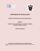 Análisis de las organizaciones y su dinámica ecológica, económica, política y cultural