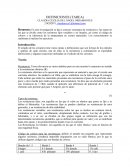 DEFINICIONES (TAREA) CLAUDIA CECILIA DEL ÁNGEL MIRAMONTES.