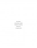 Fundamentos de Marketing - Ensayo