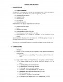INFORME SOBRE NECROPSIA.