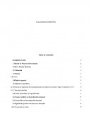 Evaluación de proyectos en la empresa JUGOS TROPICALES S.A.S.