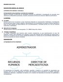 RESUMEN EJECUTIVO DESCRIPCIÓN GENERAL DEL NEGOCIO