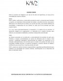 MODELO NEGOCIO KAVZ.