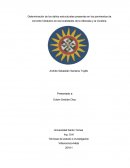 Determinación de los daños estructurales presentes en los pavimentos de concreto hidráulico en las localidades de la Alborada y la Coralina.