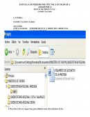 Banco preguntas curso basico computacion