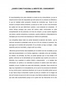 ¿Sabes como funciona la mente del consumidor? Neuromarketing