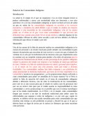 Ensayo Sobre Salud en Comunidades Indigenas