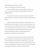 Customer Relationship Managemente American Airlines